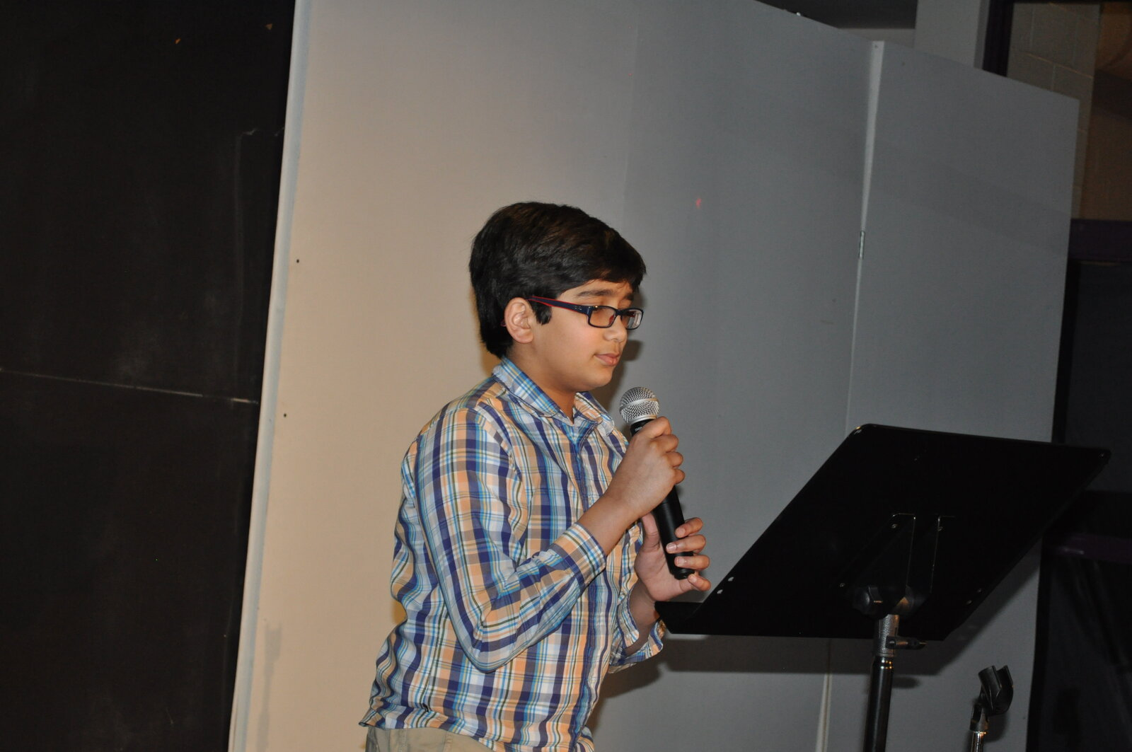 Bollywood Gala 2015 performance photo