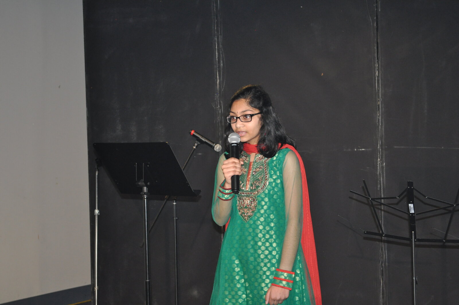 Bollywood Gala 2015 performance photo