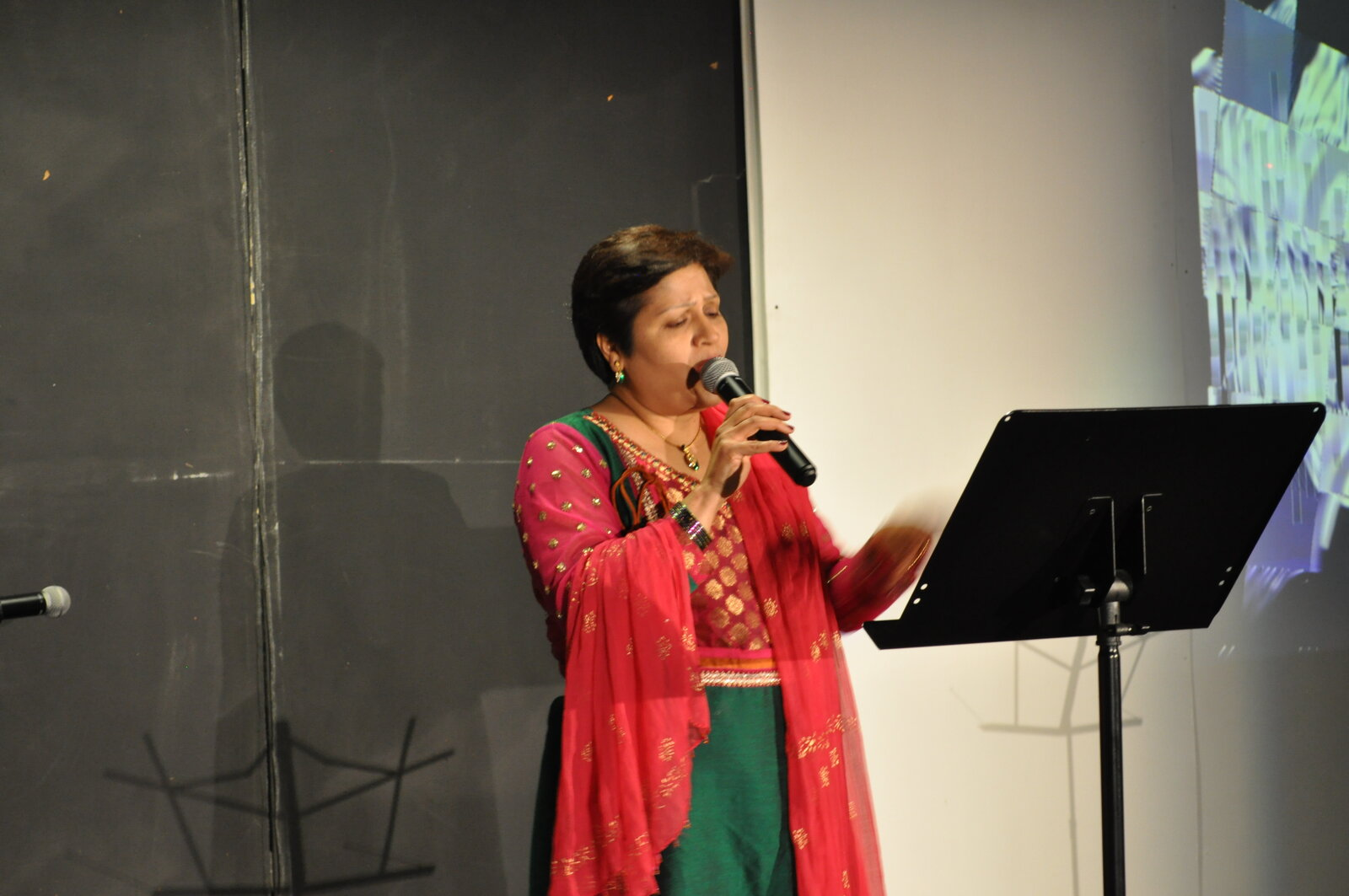 Bollywood Gala 2015 performance photo