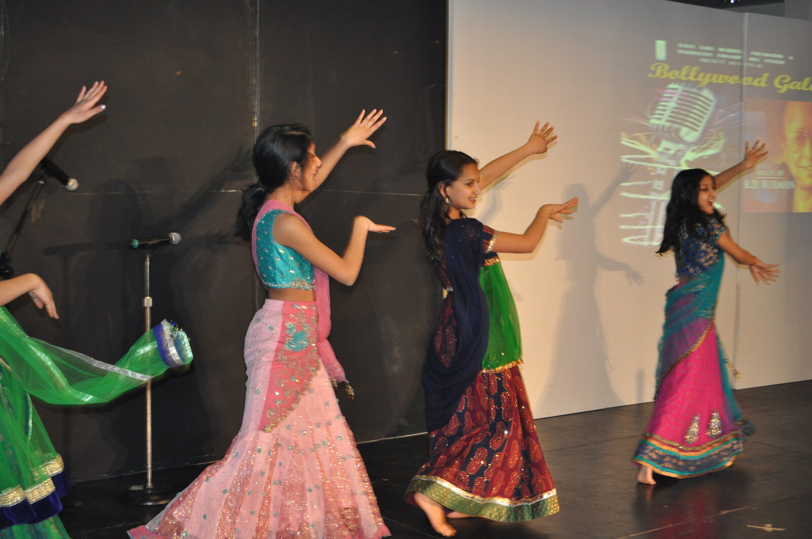 Bollywood Gala 2015 performance photo