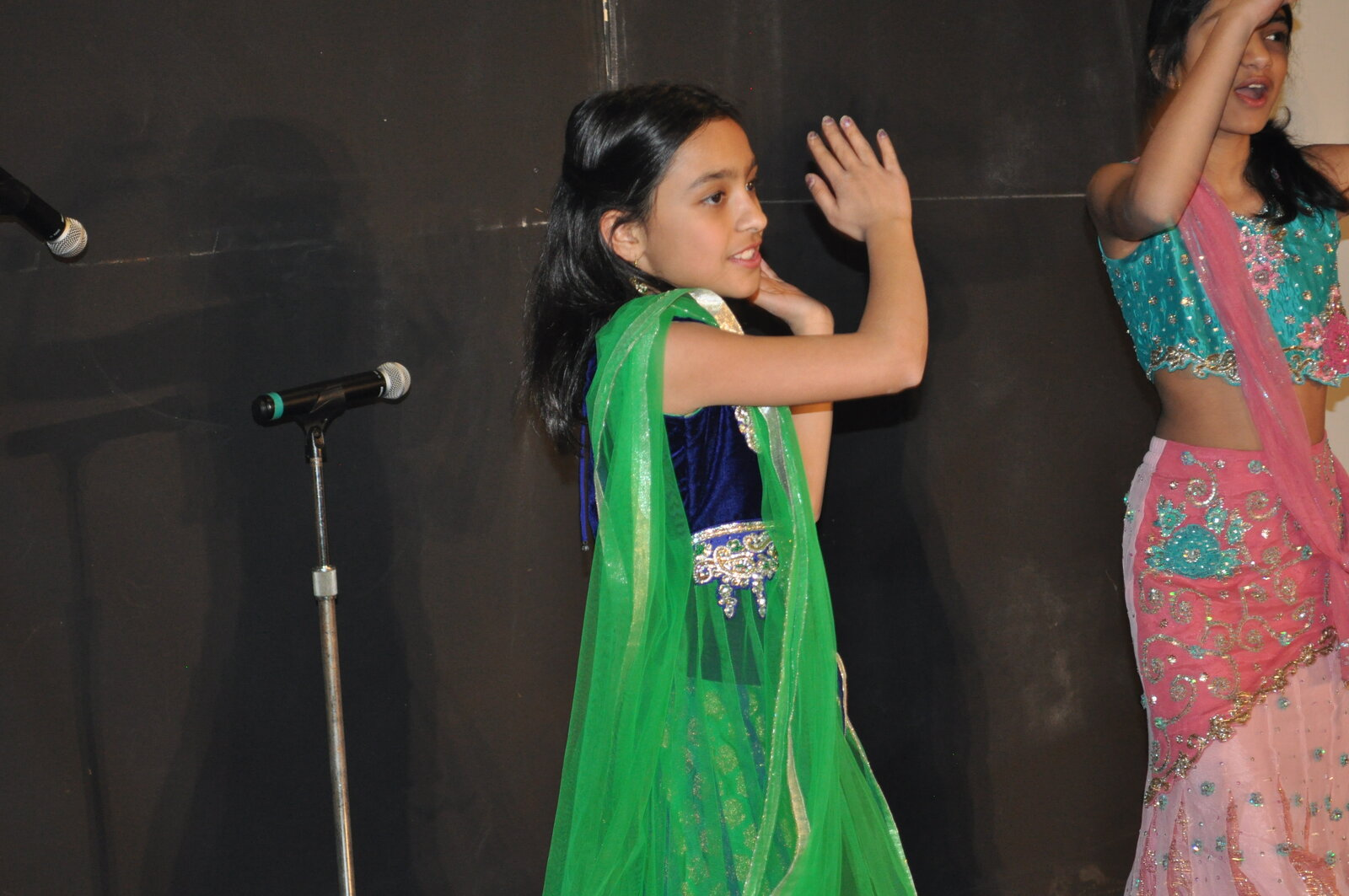Bollywood Gala 2015 performance photo