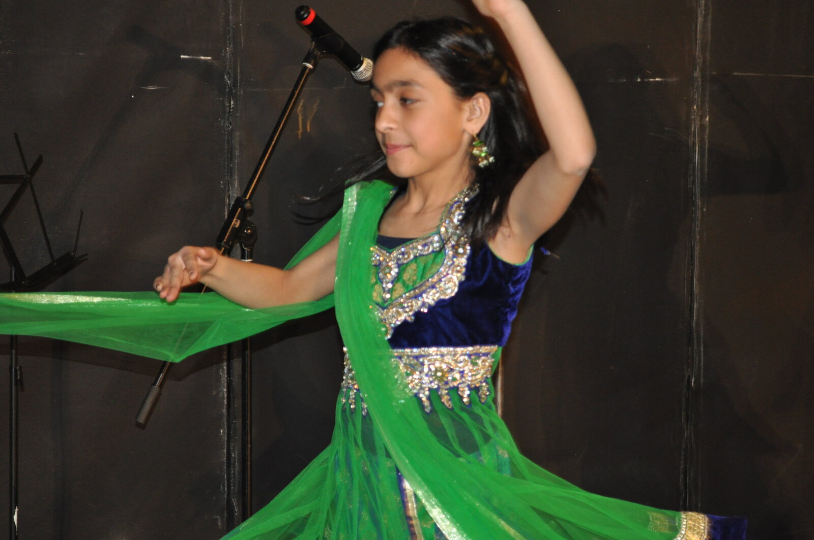 Bollywood Gala 2015 performance photo