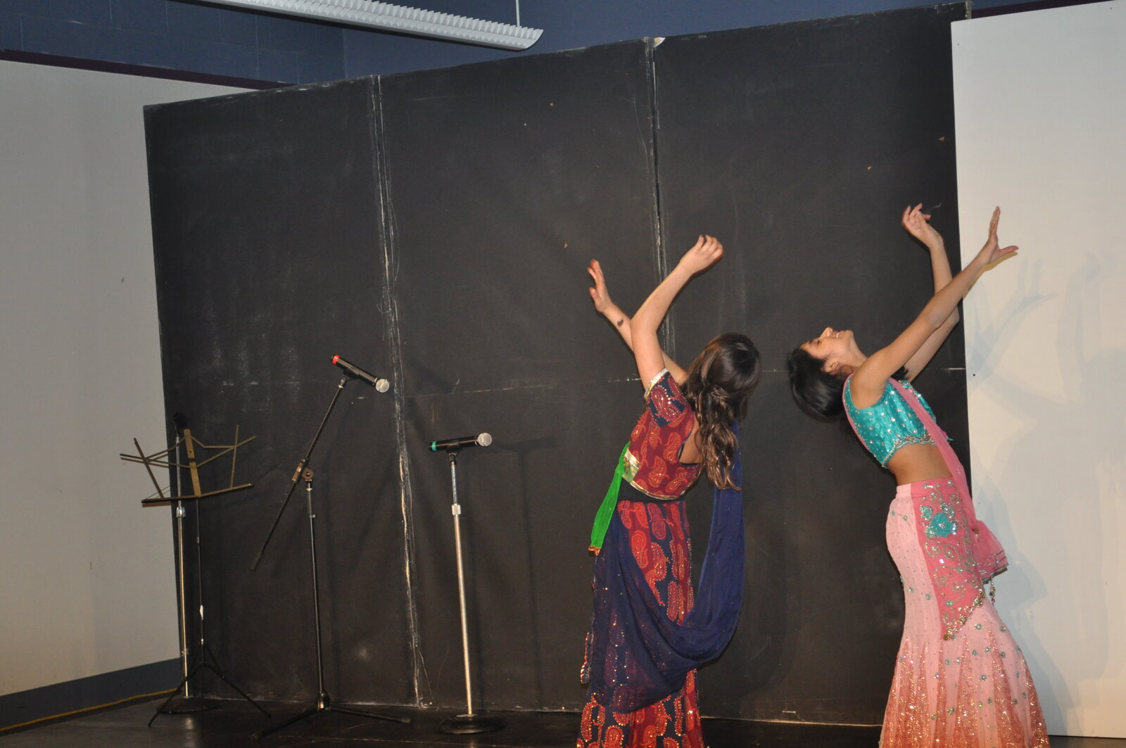 Bollywood Gala 2015 performance photo
