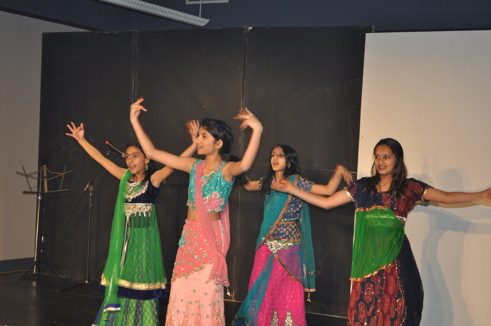 Bollywood Gala 2015 performance photo