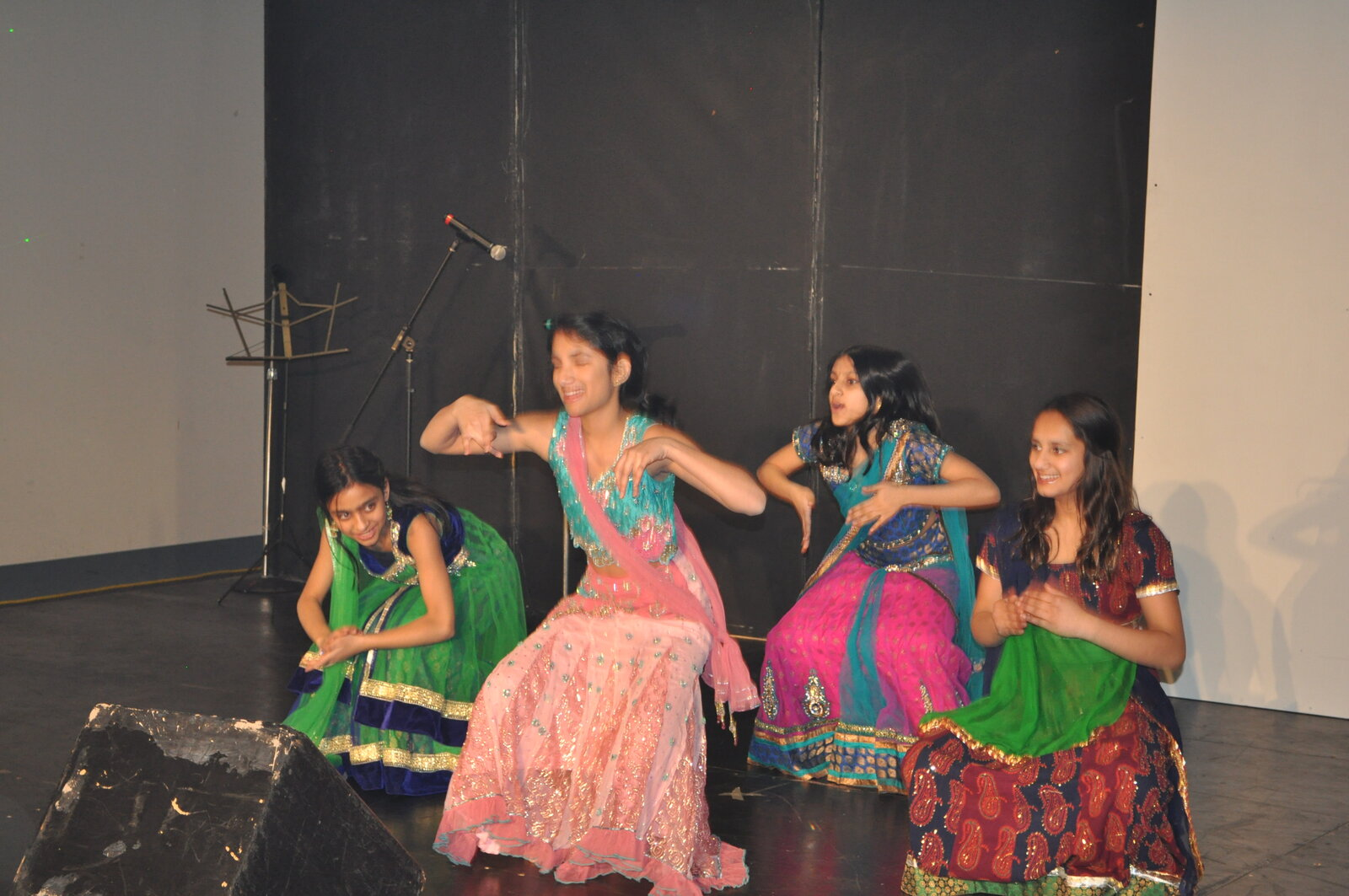 Bollywood Gala 2015 performance photo