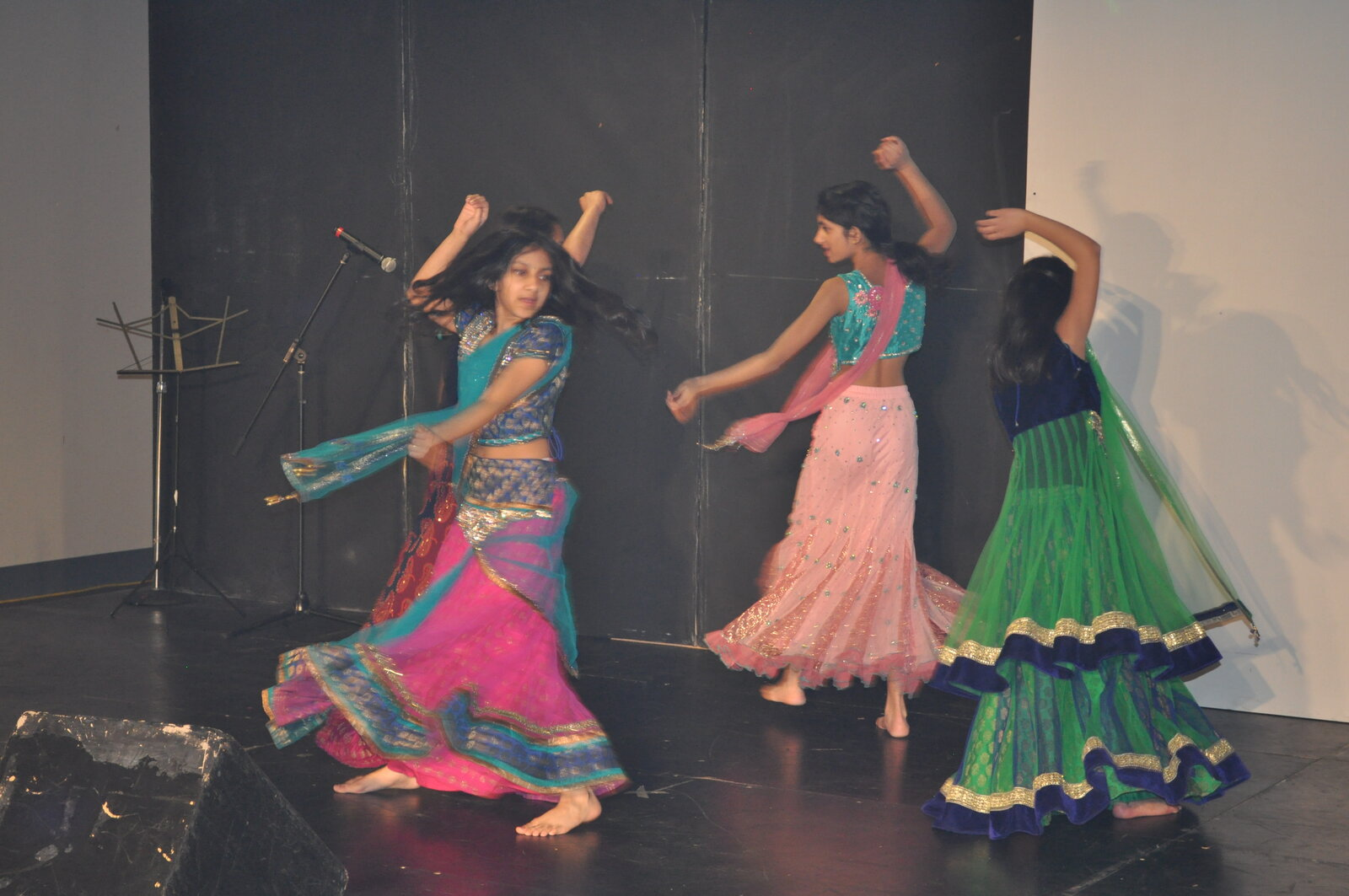 Bollywood Gala 2015 performance photo