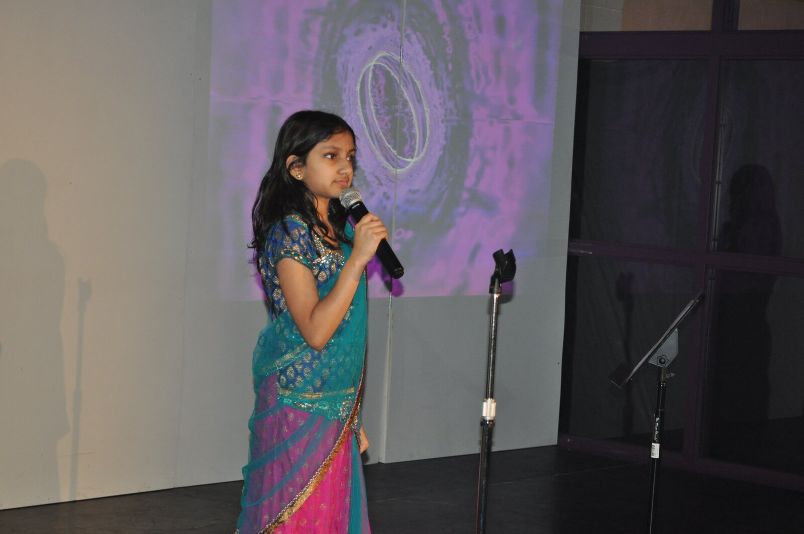 Bollywood Gala 2015 performance photo