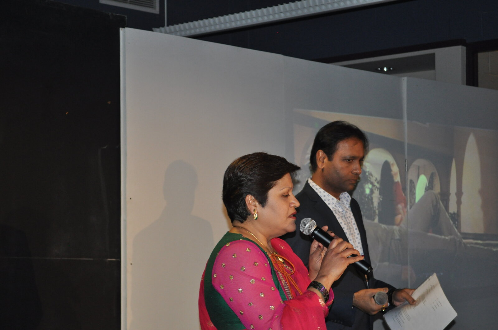 Bollywood Gala 2015 performance photo