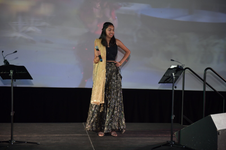Bollywood Gala 2025 performance photo