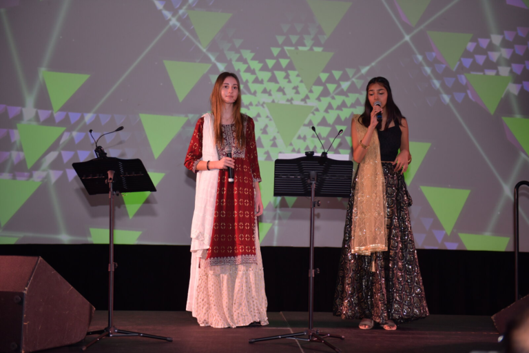 Bollywood Gala 2025 performance photo
