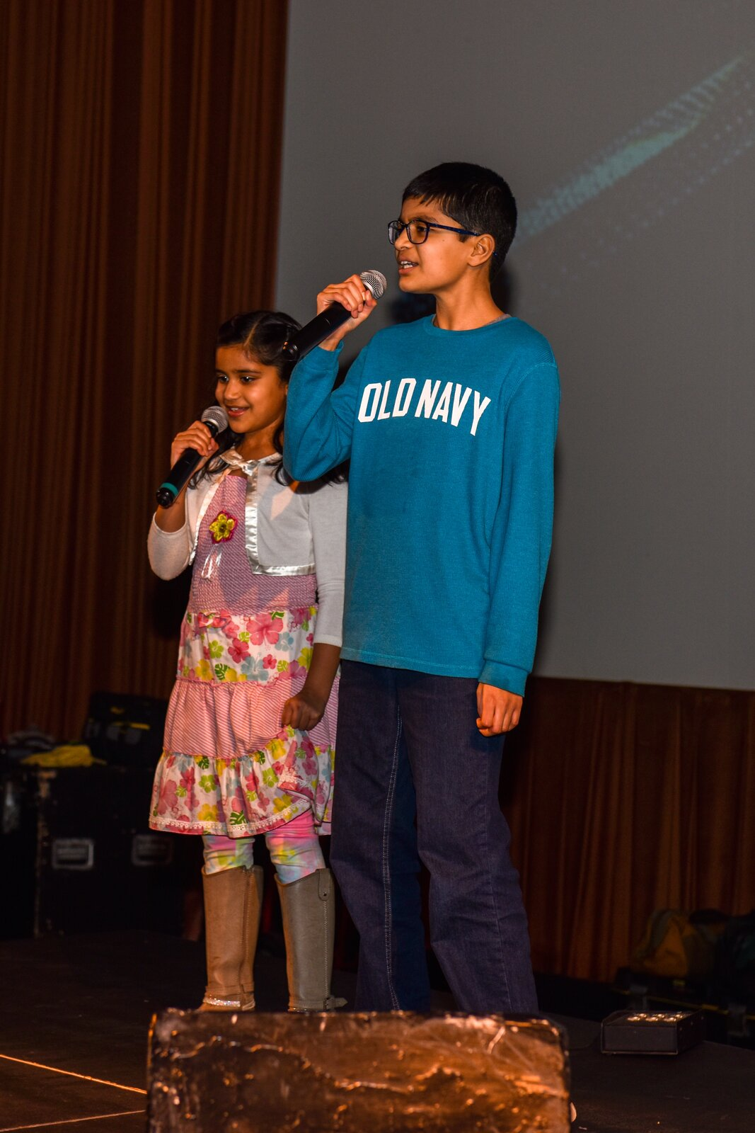 Bollywood Gala 2020 performance photo