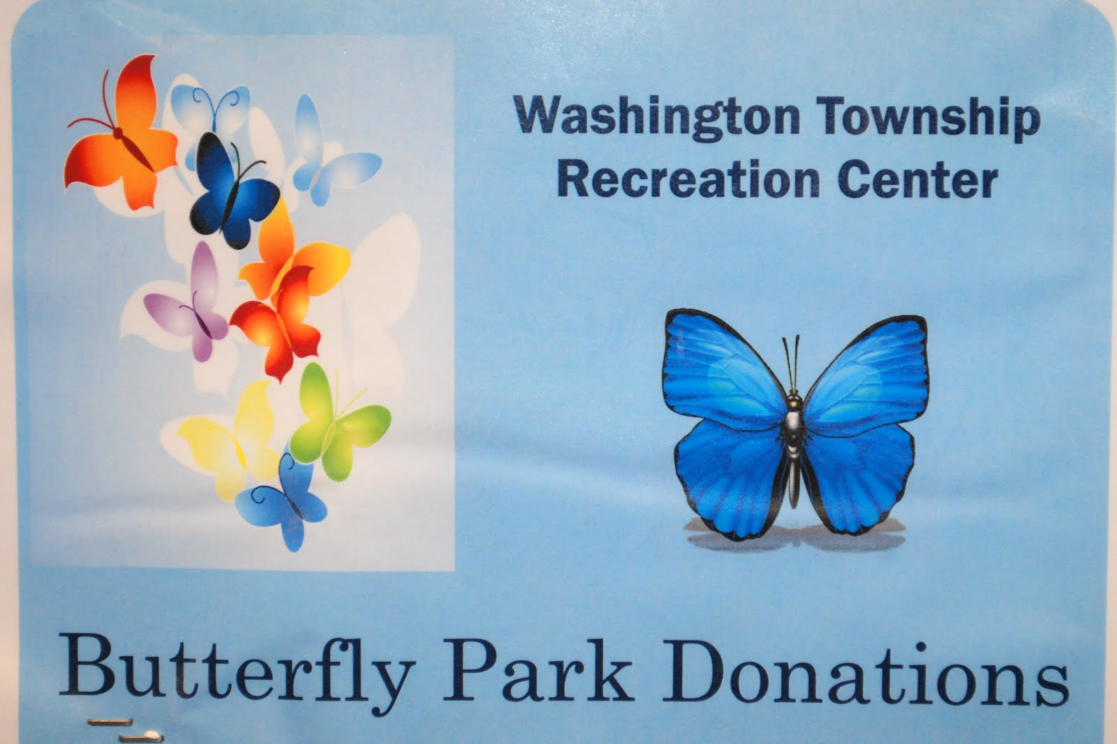 A Butterfly Park Donations poster with painted butterflies, in the lobby