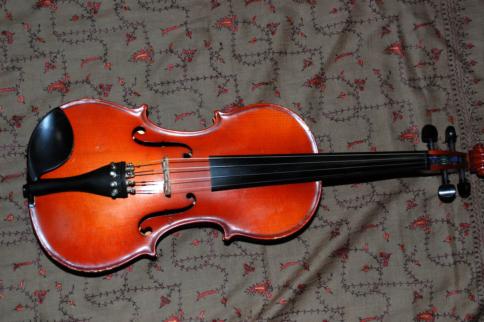 A violin, close up