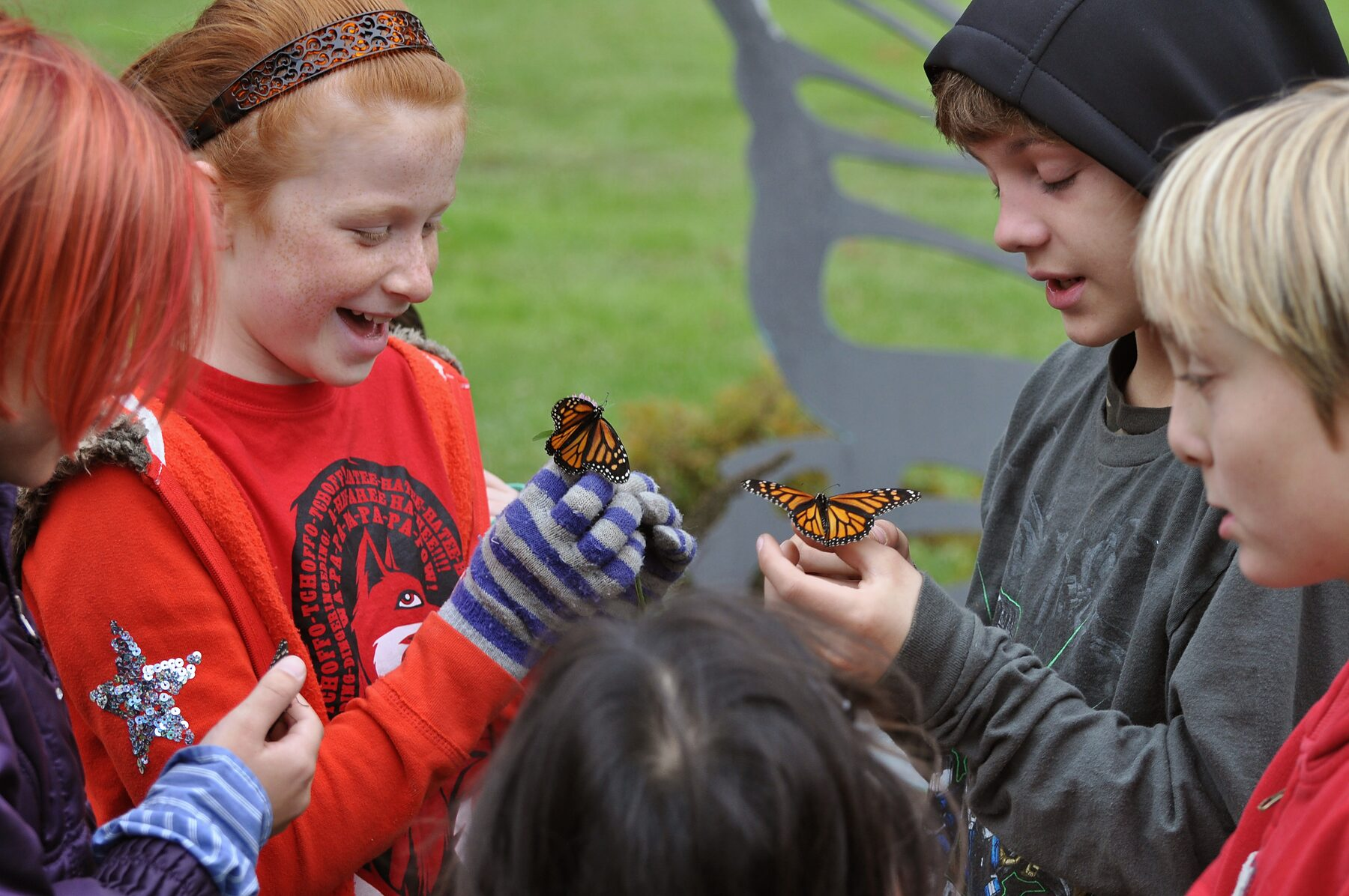 Four children holding live monarch butterflies on their hands