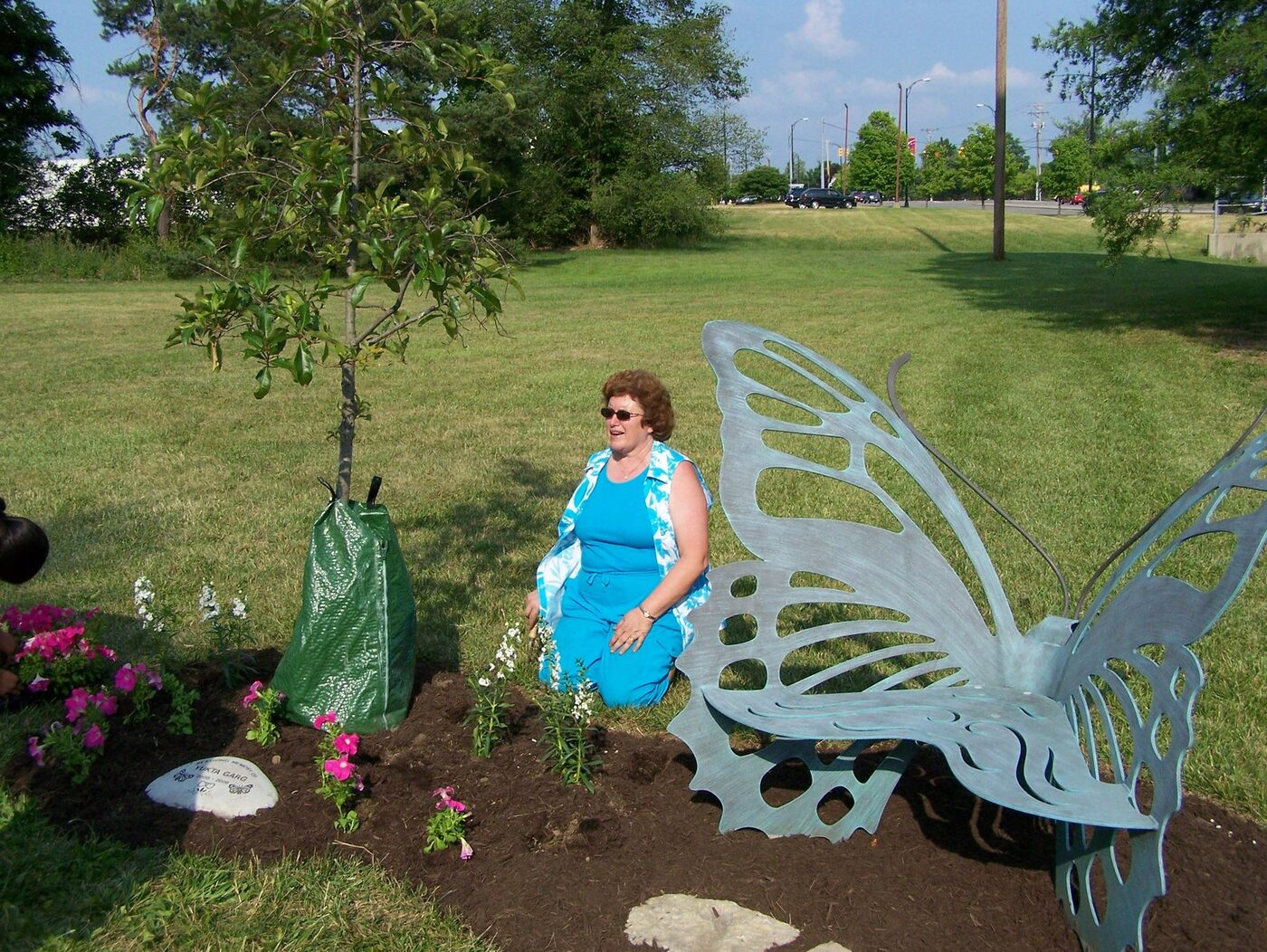 Butterfly Celebration photo 2
