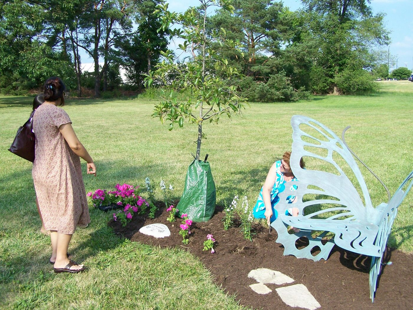 Butterfly Celebration photo 3