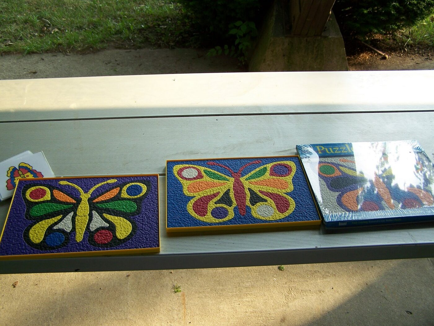 Butterfly Celebration photo 11