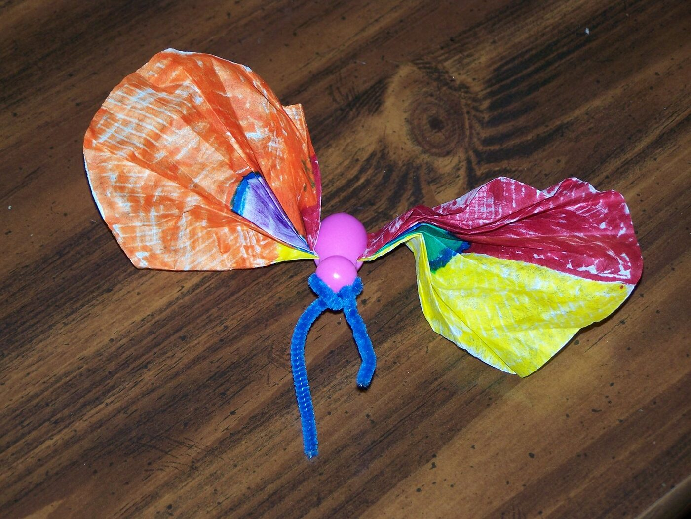 Butterfly Celebration photo 16