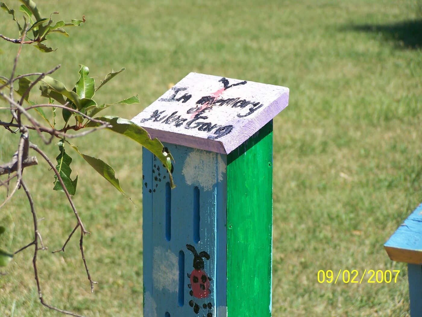 Butterfly Celebration photo 22