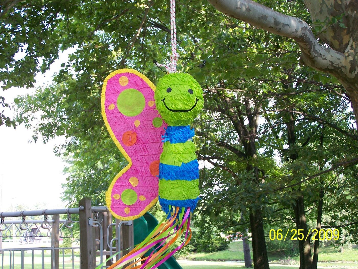 Butterfly Celebration photo 3
