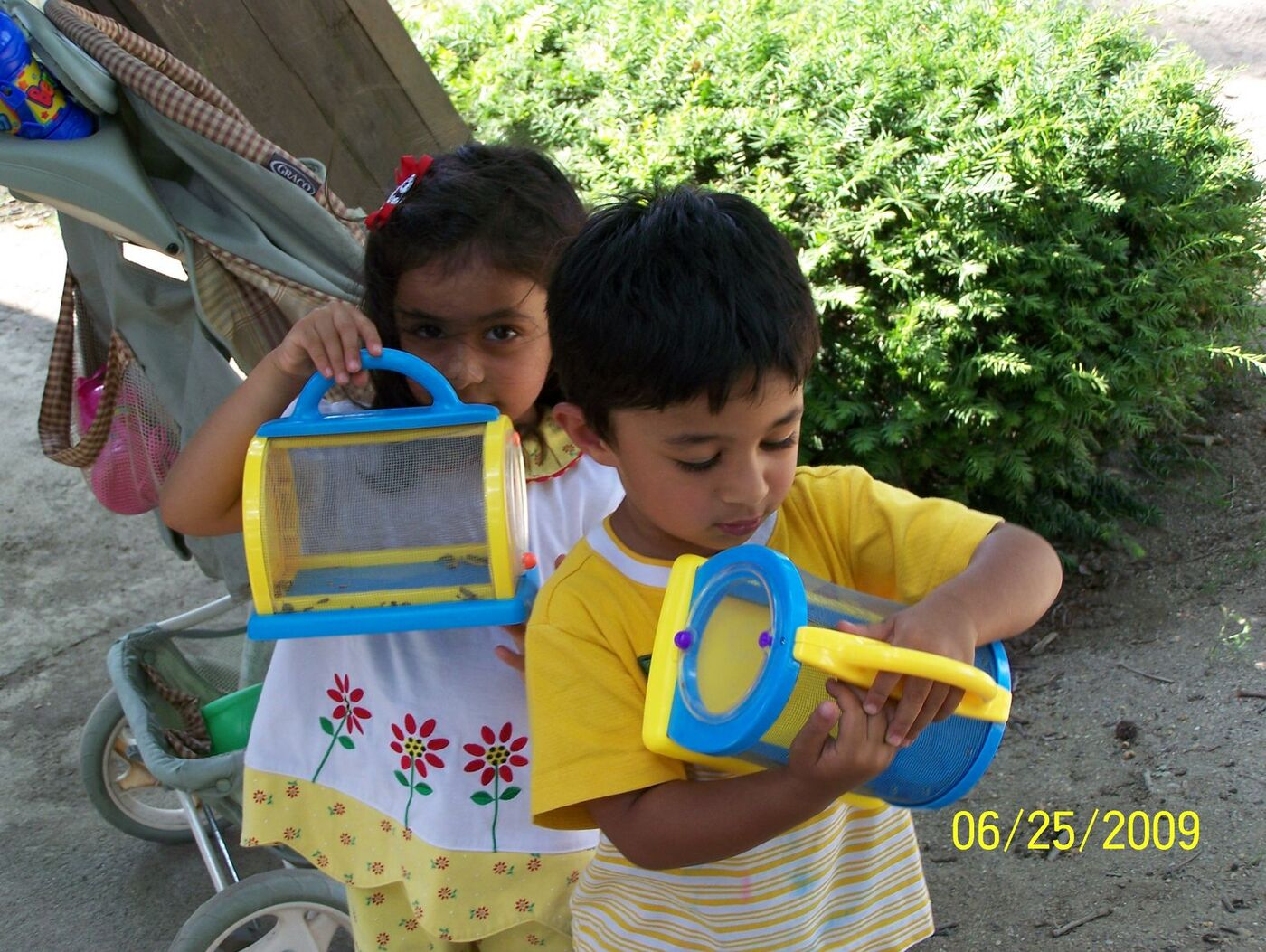 Butterfly Celebration photo 4