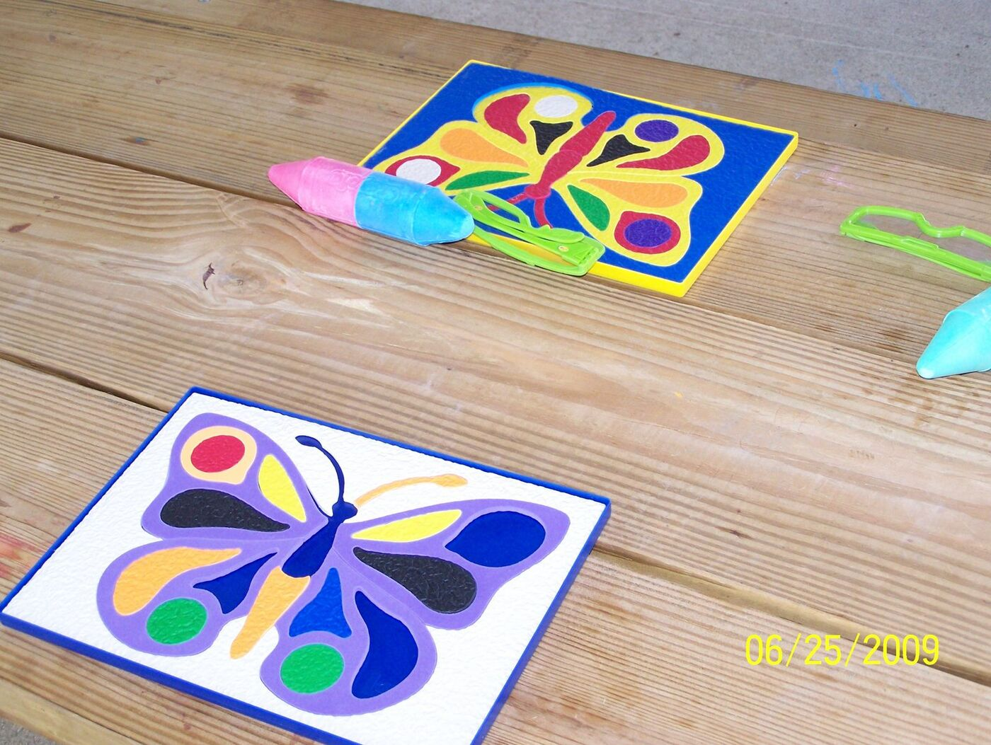Butterfly Celebration photo 6