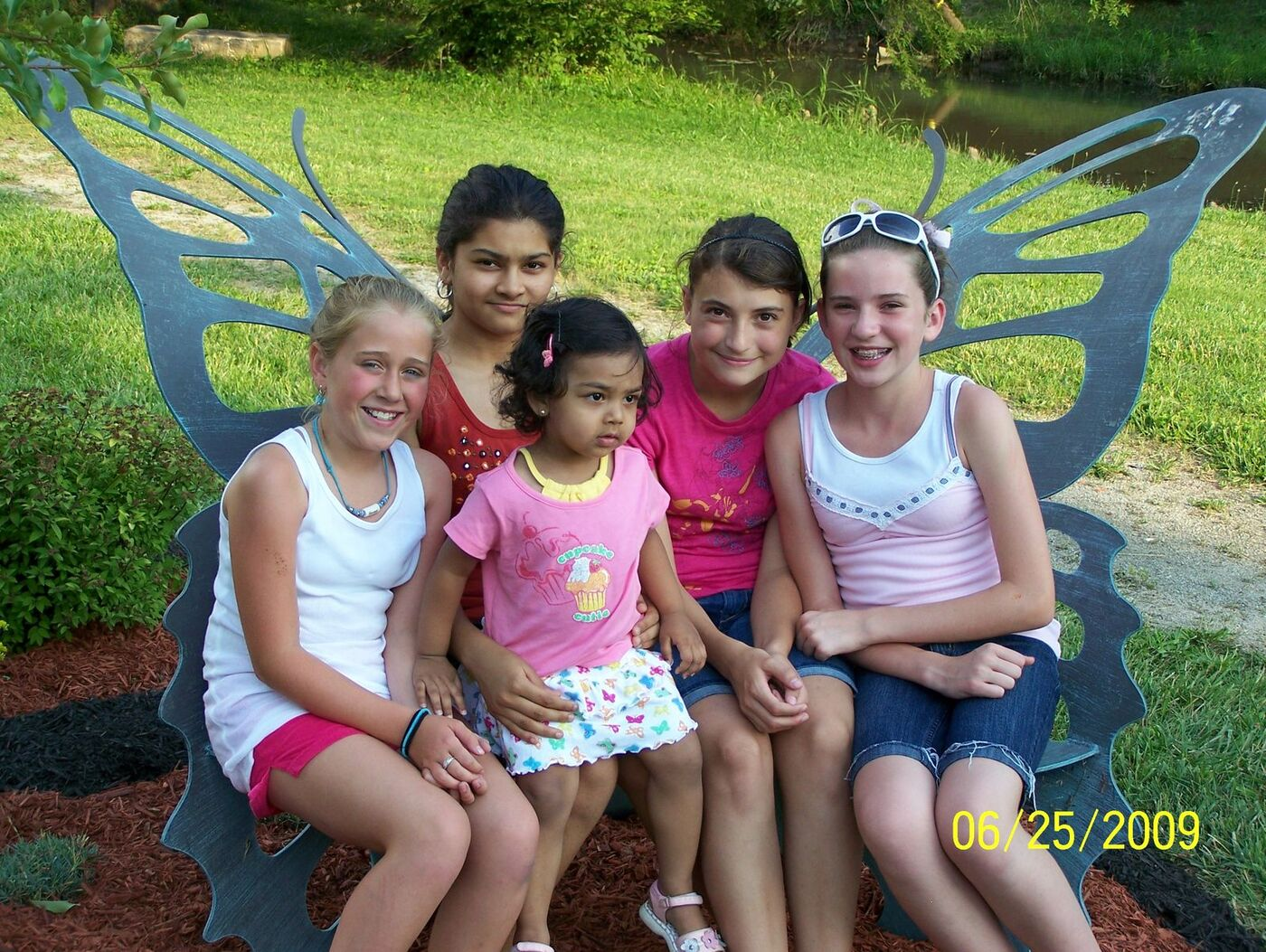 Butterfly Celebration photo 55