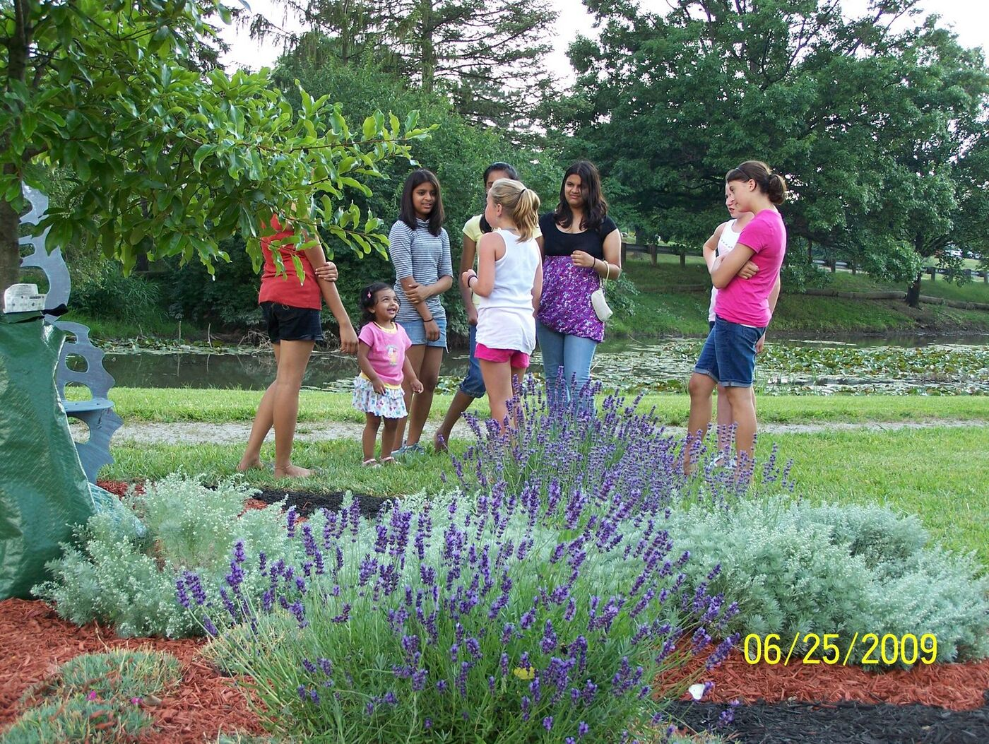Butterfly Celebration photo 58