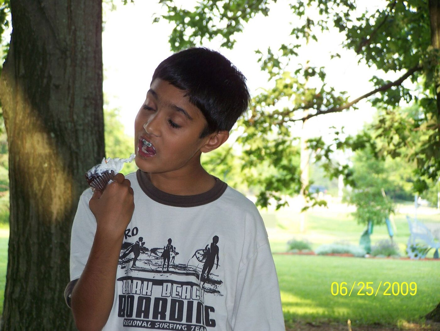 Butterfly Celebration photo 74