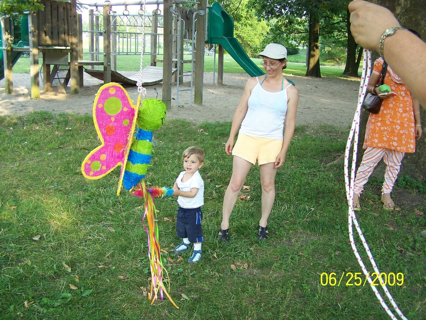 Butterfly Celebration photo 83