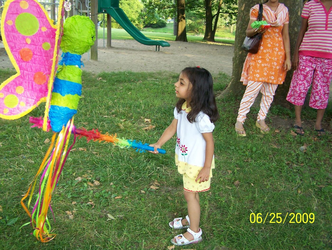 Butterfly Celebration photo 86