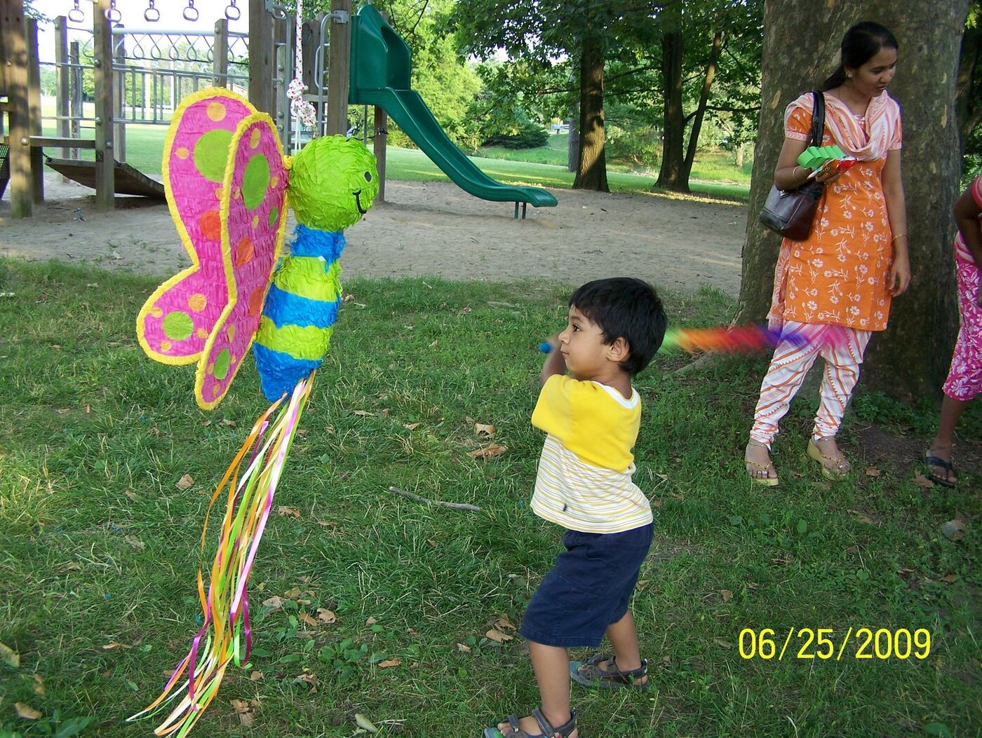 Butterfly Celebration photo 87