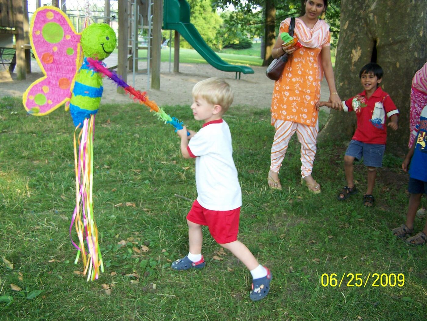 Butterfly Celebration photo 90