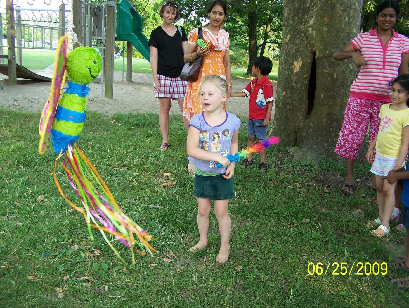Butterfly Celebration photo 92