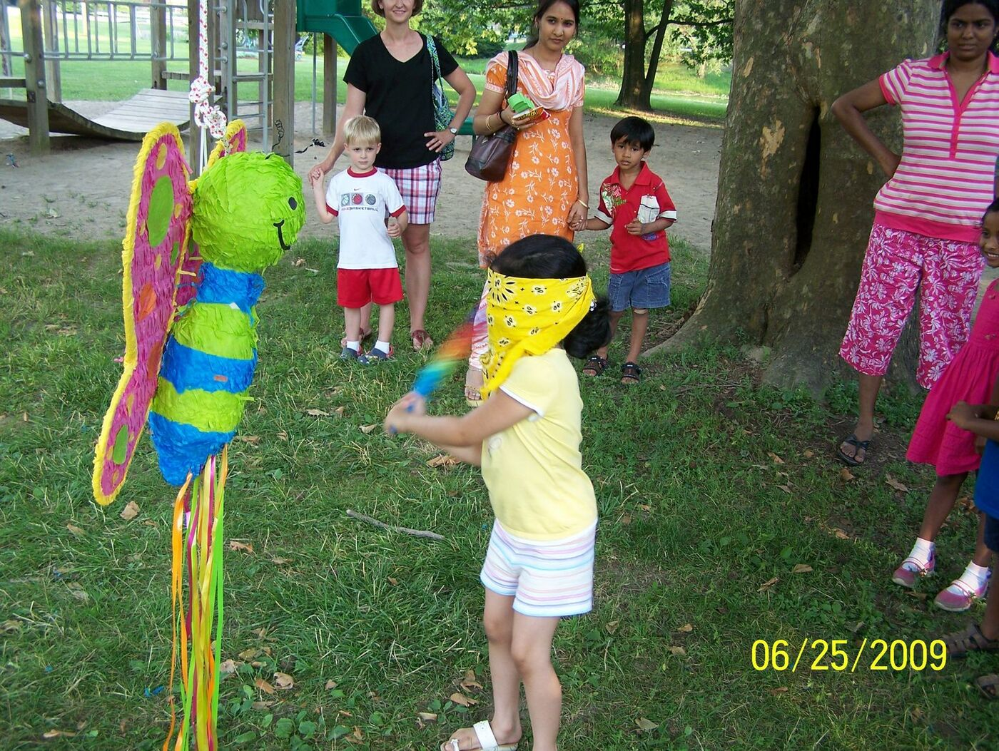 Butterfly Celebration photo 93