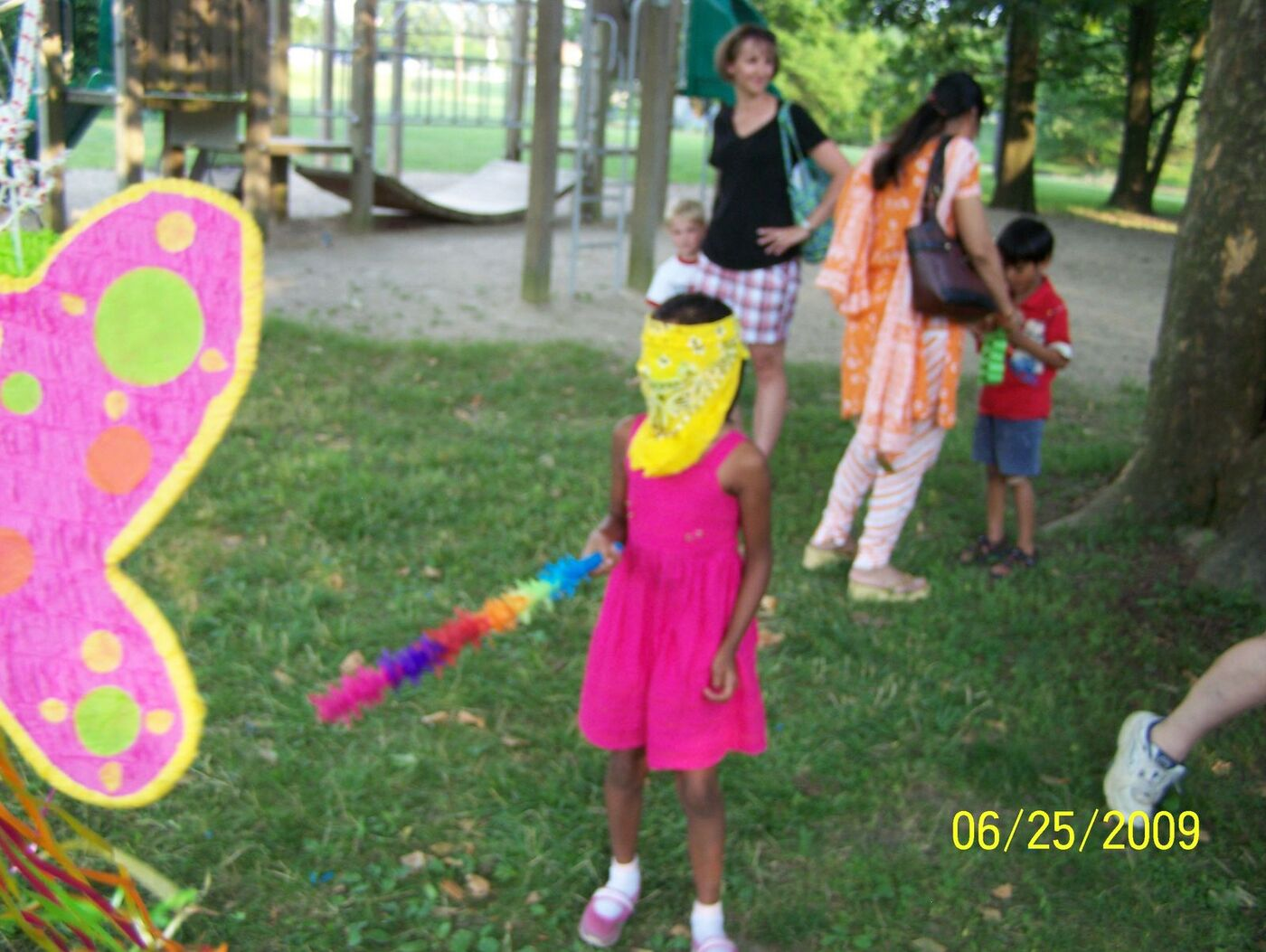 Butterfly Celebration photo 95