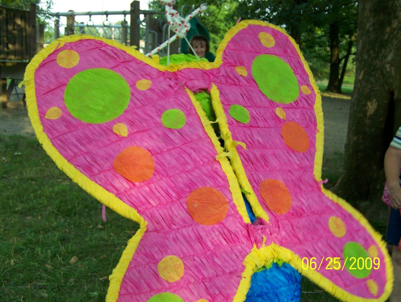 Butterfly Celebration photo 99