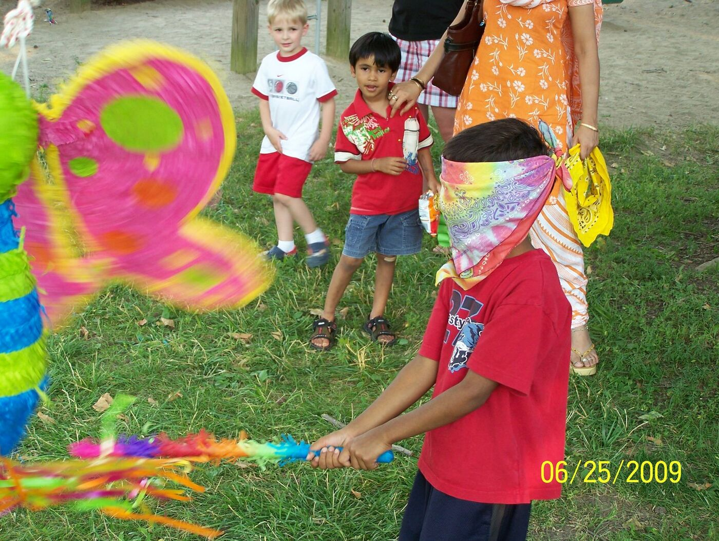 Butterfly Celebration photo 101