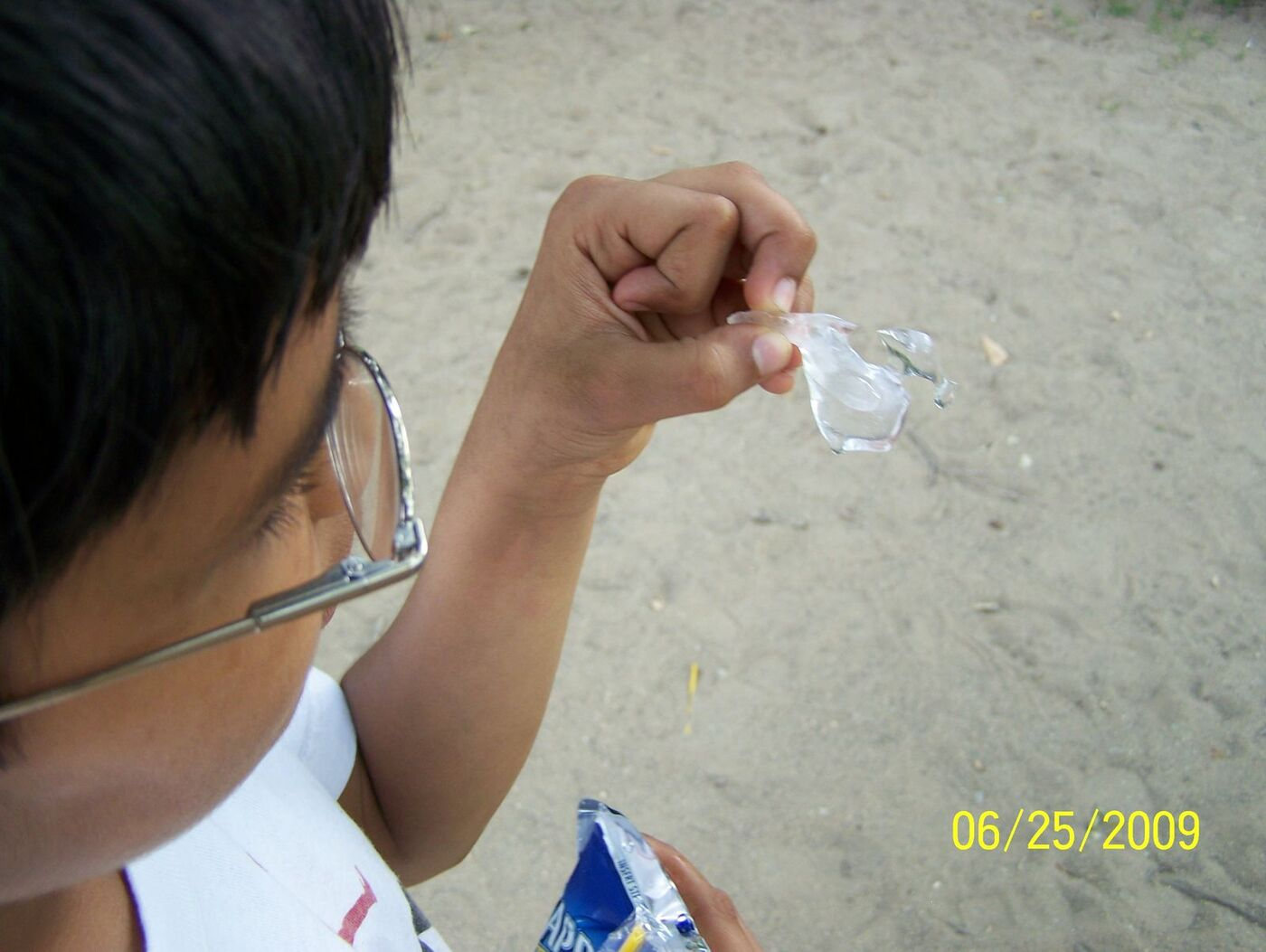 Butterfly Celebration photo 127