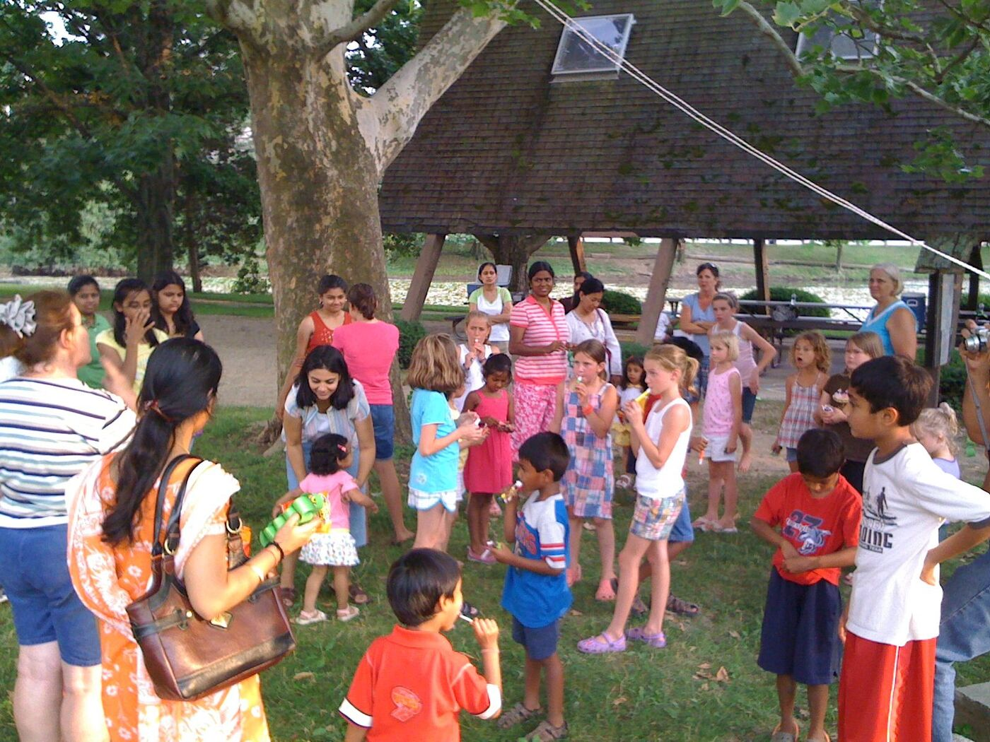 Butterfly Celebration photo 143