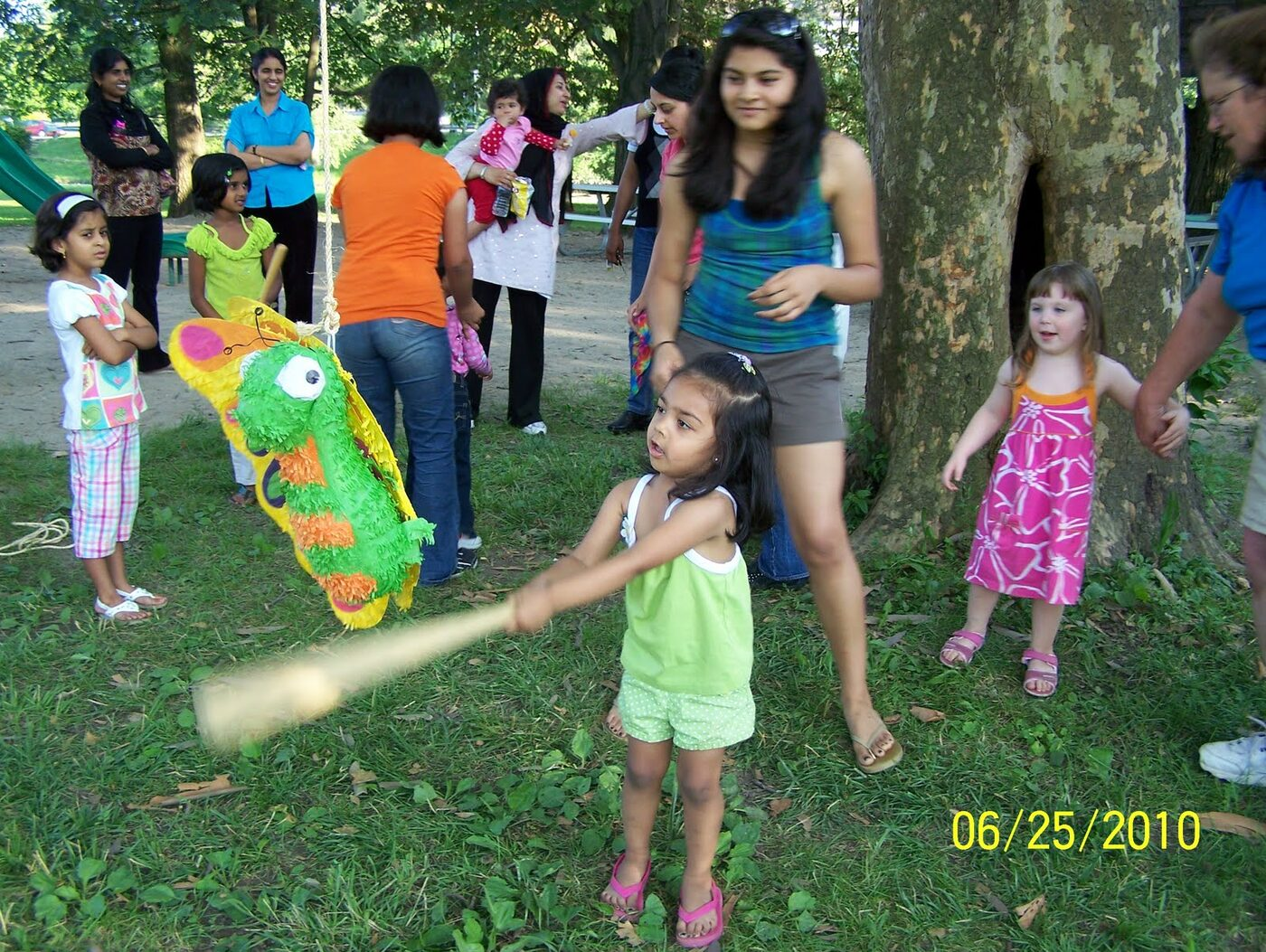 Butterfly Celebration photo 12