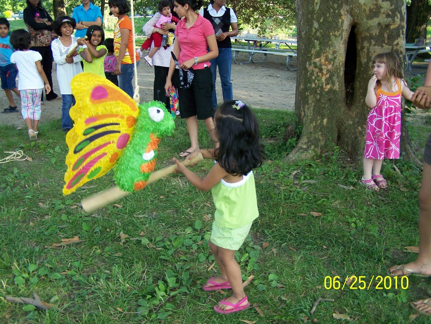 Butterfly Celebration photo 13